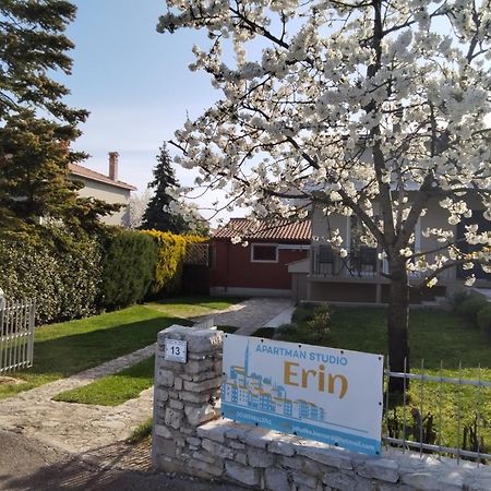 Apartman Studio Erin Ровинь Экстерьер фото